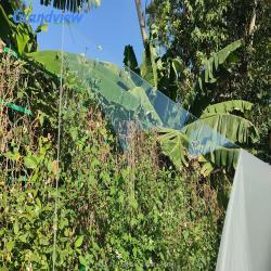 Прозрачный акриловый лист, для соляриев. Гарантия 10 лет.