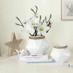 Современная керамическая ваза для цветов