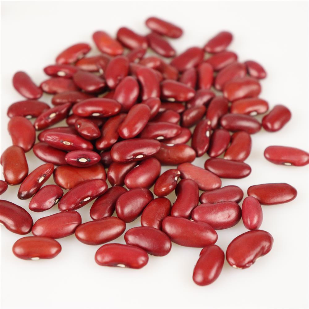 Британская красная фасоль