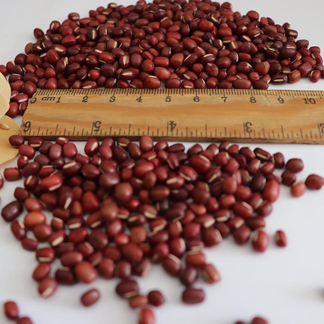Высококачественная китайская мелкая красная фасоль 