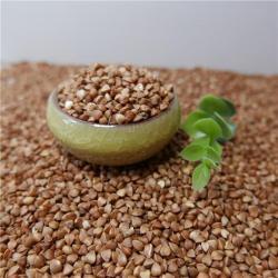 Китайская сладкая черная гречка