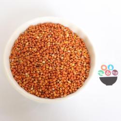 Китайское красное просо