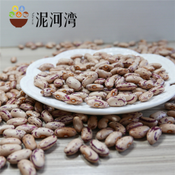 Крапчатая фасоль 