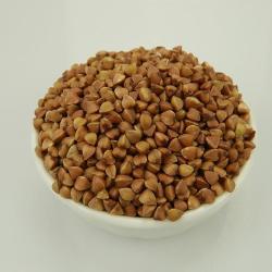 Семена гречихи WENSHA 