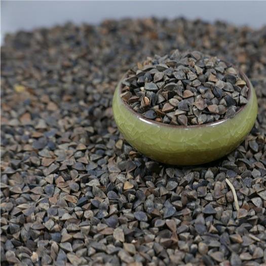 Семена гречихи WENSHA 