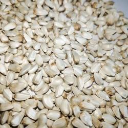 СЕМЕНА САФЛОРА ДЛЯ КОРМЛЕНИЯ ЖИВОТНЫХ