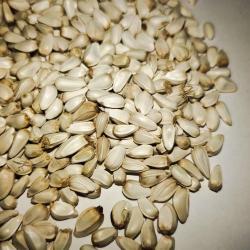 Семена сафлора без шелухи на корм 