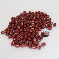 Маленькие красные бобы мунг