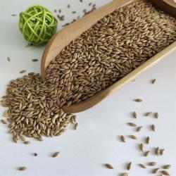 Канареечное семя для кормления птиц