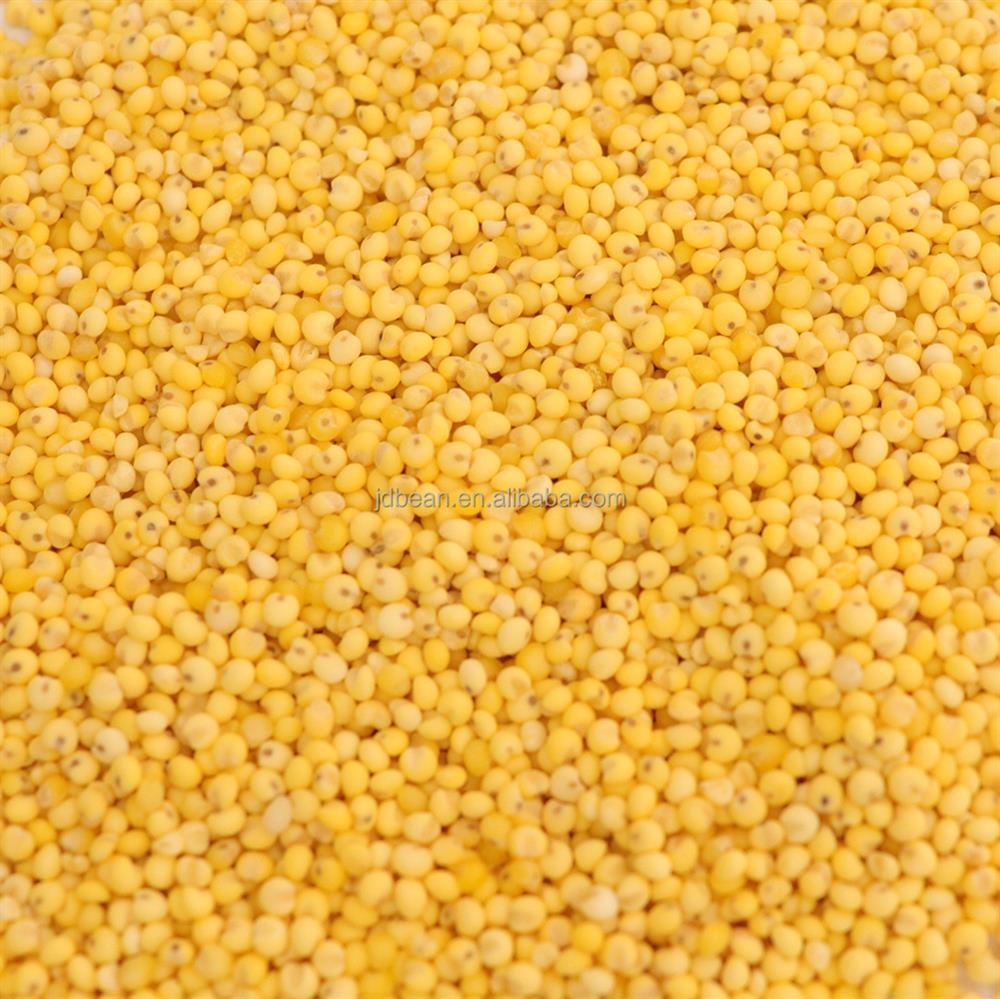 Клейкое желтое просо New Crop