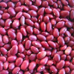 Высококачественная японская красная фасоль 