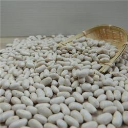 Белая фасоль 