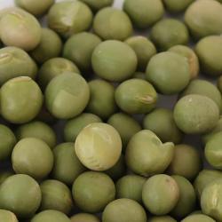 Зеленая соя