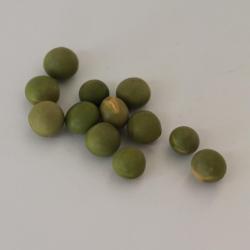 Зеленая соя