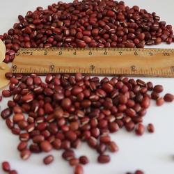 Высококачественная китайская мелкая красная фасоль 