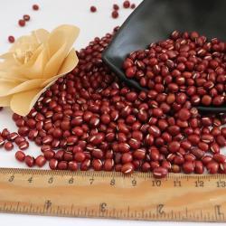 Высококачественная китайская мелкая красная фасоль 