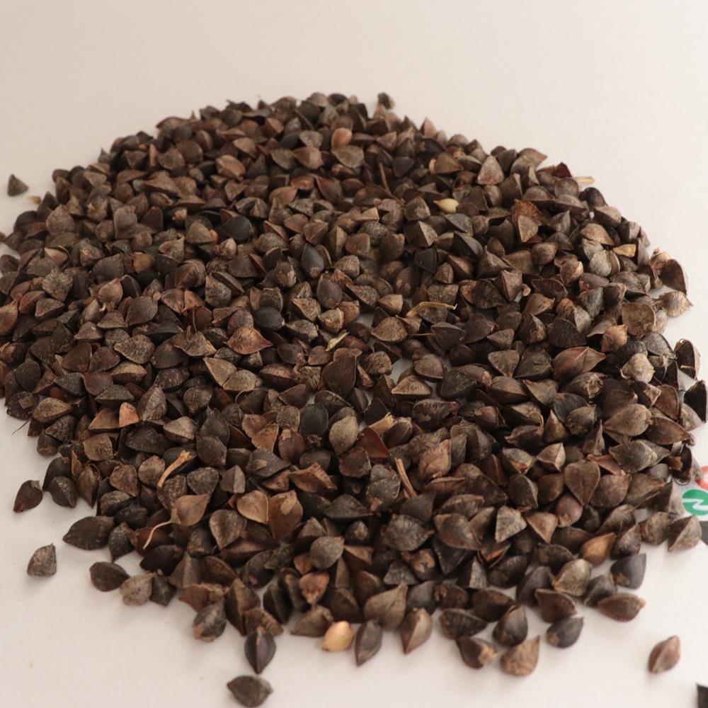 Сладкая гречневая крупа для кормления птиц