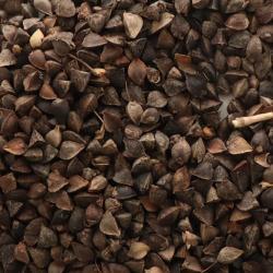 Сладкая гречневая крупа для кормления птиц