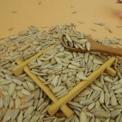 Ядра семян подсолнечника