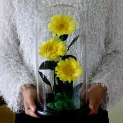 Подарочный цветок в колбе