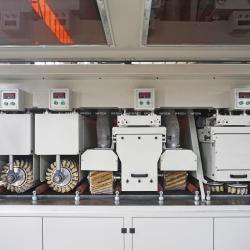 Шлифовально-полировальный станок WFSEN