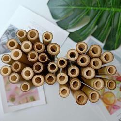 Экологически чистые бамбуковые стебли