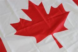 Большой флаг Эфиопии с зелёными, жёлтыми и красными полосами (арт. 21102713)