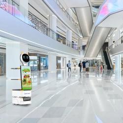 Робот с экраном 27 дюймов для рекламы и демонстраций в помещениях (арт. 29101669)