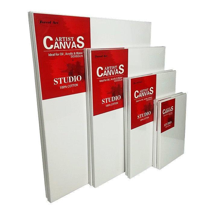 Натяжной холст из хлопка на сосновой раме, популярная модель (арт. 04111537)