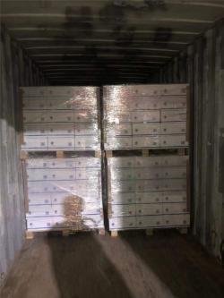 Рулоны термобумаги 80x80 мм для кассовых аппаратов и POS-принтеров, без втулки (арт. 2611504)