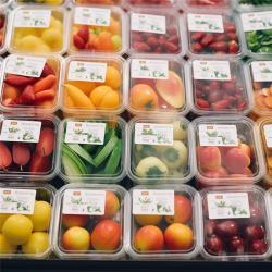 Водонепроницаемые термоэтикетки A6 100x150 мм для печати накладных (арт. 2611560)