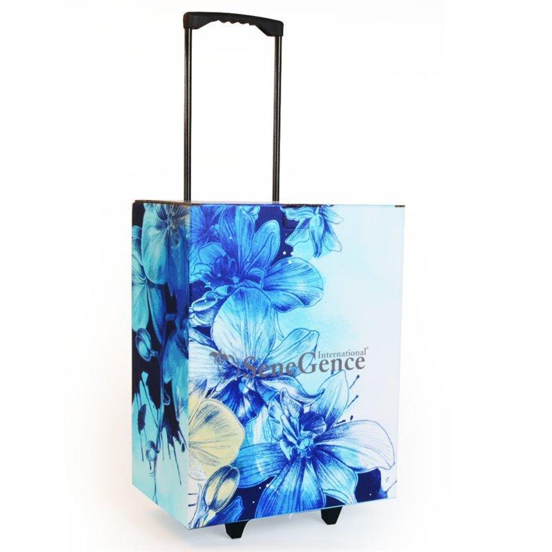 Рекламный картонный trolley с индивидуальным дизайном для выставок и промоакций (арт. 1113002)