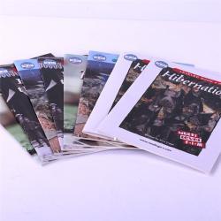 Бесплатные образцы печати на заказ 3D-эффект на бумаге с фольгированием (арт. 1113014)