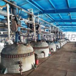 Пищевая катионная ионообменная смола 2.0, эквивалент Polystyrene Cation Exchanger (арт. 16121091)