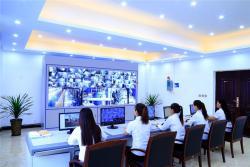 Катионная ионообменная смола Rohm Hass IR 120 Amberlite, цена за смолу (арт. 16121092)