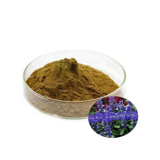 Оптом стандартизованный экстракт порошка 10% туркестерона из аюги Туркестанской (арт. 1312816)