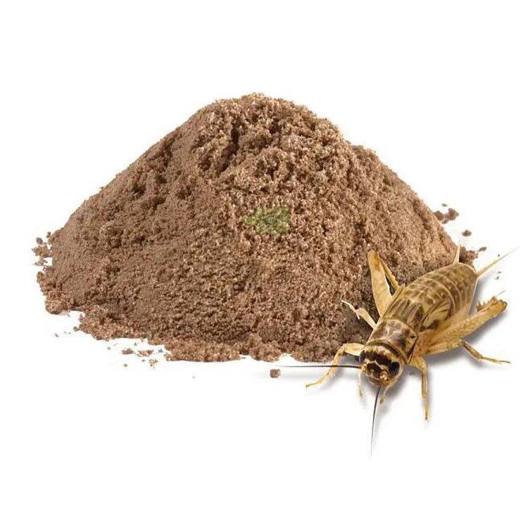 Оптом порошок сушеных сверчков (арт. 1312828)
