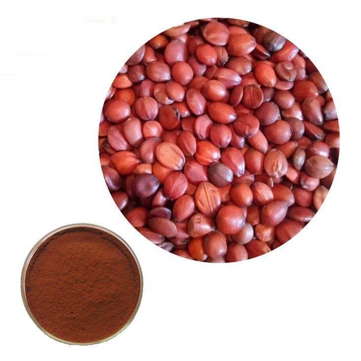 Высококачественный порошок семян фиников, порошок экстракта кислого жууба (арт. 1312835)