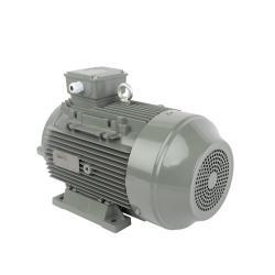 Электродвигатель 30кВт 40HP трёхфазный асинхронный переменного тока (арт. 25-17051287)