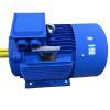 Электродвигатель 75кВт 100HP трёхфазный асинхронный переменного тока (арт. 25-17051291)