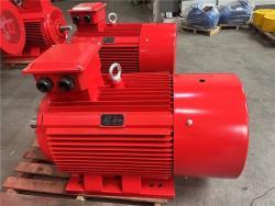 Электродвигатель 200кВт 270HP ГОСТ трёхфазный асинхронный переменного тока (арт. 25-17051295)