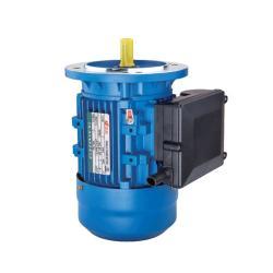 Электродвигатель ML 5HP 3.7kW однофазный асинхронный с алюминиевым корпусом (25-8051721)