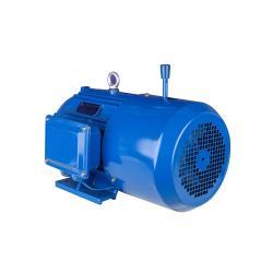 Электродвигатель YEJ 1.5kW 2HP трёхфазный с электромагнитным тормозом (25-8051724)