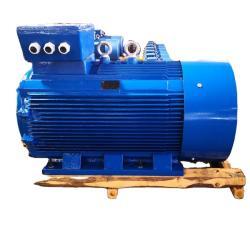 Электродвигатель 315kW трёхфазный асинхронный высокой мощности и эффективности (25-8051746)