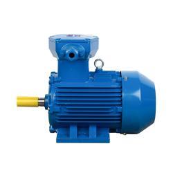 Электродвигатель YBX3 22kW 30HP 380В 50Гц трёхфазный взрывозащищённый AC (25-8051759)