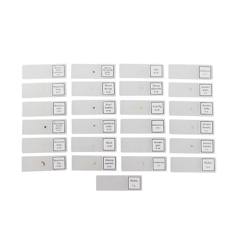 Микроскопические слайды зоологии набор из 25 шт (арт. 25-9071944)