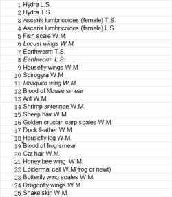 Микроскопические слайды зоологии набор из 25 шт (арт. 25-9071944)