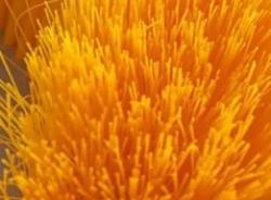 Автоматическая щетка для очистки солнечных панелей с вращающимся механизмом (арт. 25-1408023)