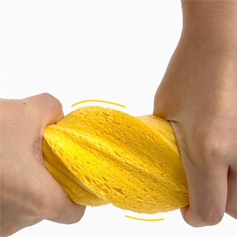 Набор губок для ухода за автомобилем и кухней (арт. 25-1408078)