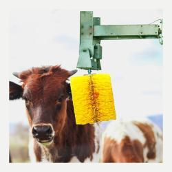 Массажная щетка для коров с электроприводом, облегчающая зуд и очищающая шерсть (арт. 25-1408383)